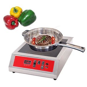 Plaque de cuisson induction professionnelle -