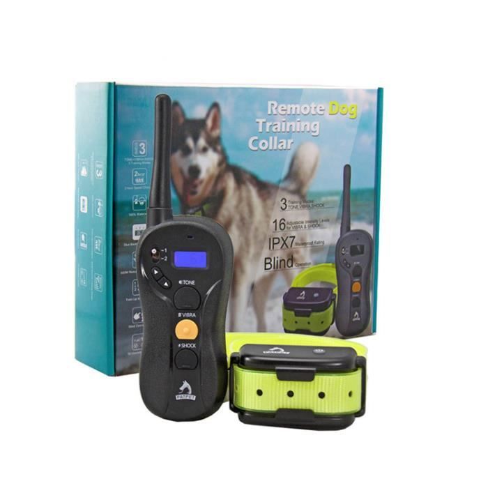 dressage chien 16