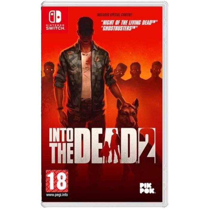 Into the Dead 2 Jeu Switch