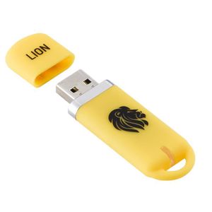KEYOUEST Clé USB Lion - 16 Go