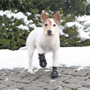 TRIXIE Bottes de protection Walker Active 2 pi?ces S-M - Noir - Pour chien