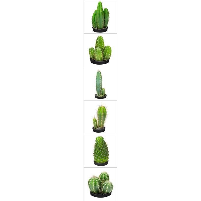 Sticker Cactus 15 cm x 15 cm