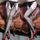 Collants ouverts entrejambe