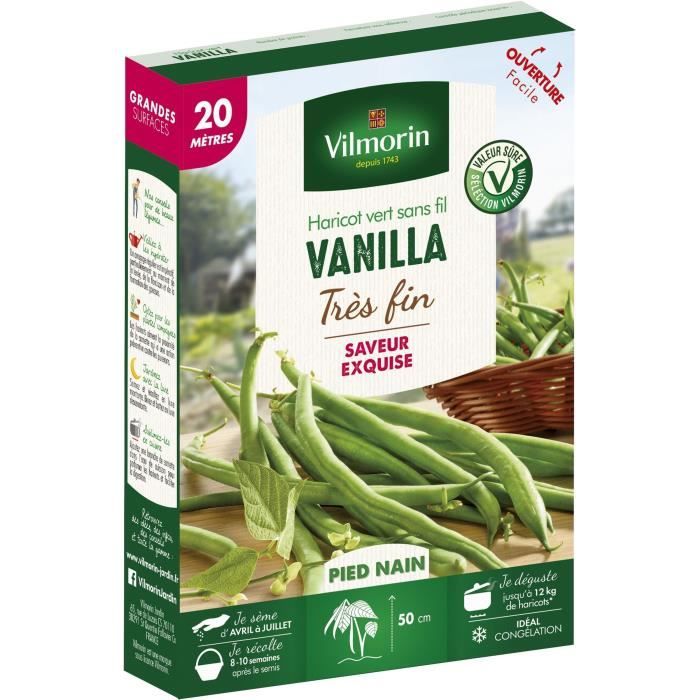 Semences pour haricot nain de la variete vanilla - 20 m