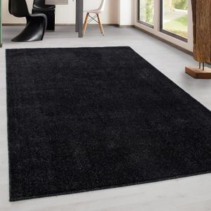 Tapis Tapis Kurzflor Modern Salon Unicolore Chiné Uni Pas