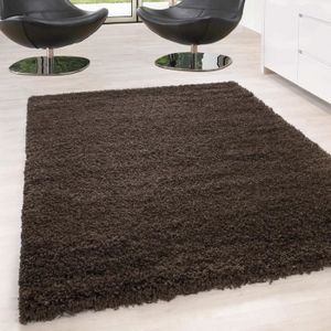 Ayyildiz Teppich Tapis De Salon à Poils Longs à Poils Longs