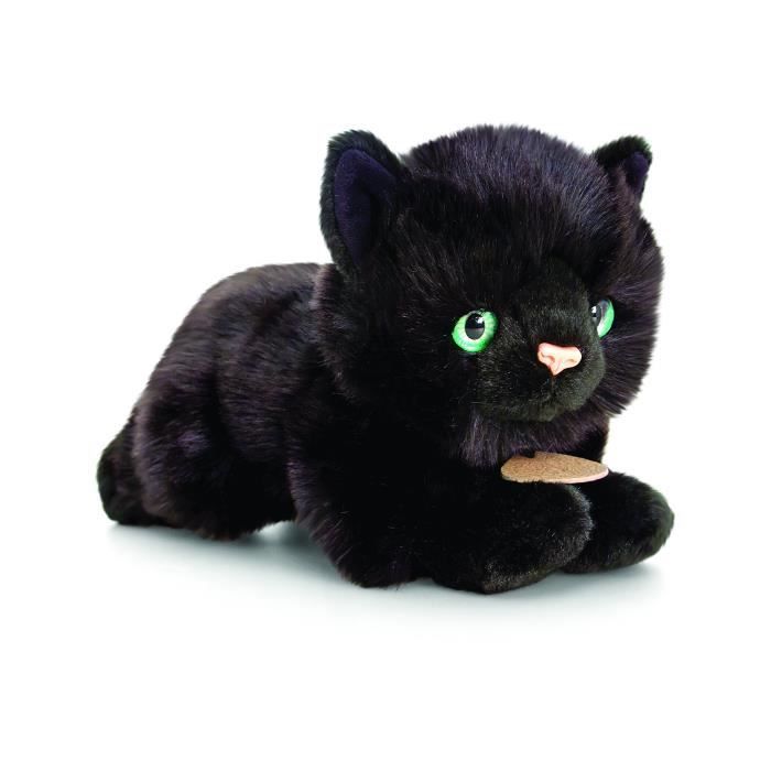 plus belle chatte noire