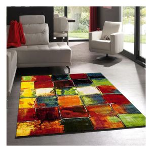 TAPIS BELIS Tapis de salon contemporain 160x230 cm vert,
