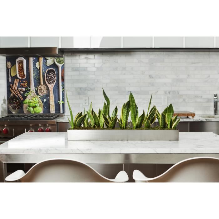 Fond de hotte "Variétés d'épices2