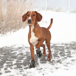 TRIXIE Bottes de protection Walker Active 2 pi?ces M- Noir - Pour chien