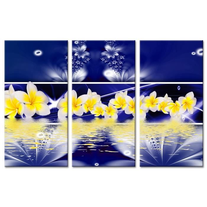 Fleurs 120x80 Cm Déco Triptyque Plumeria Tableau PiOukXTZ