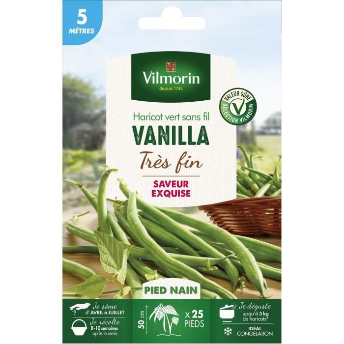Semences pour haricot nain de la variete vanilla - 5 m