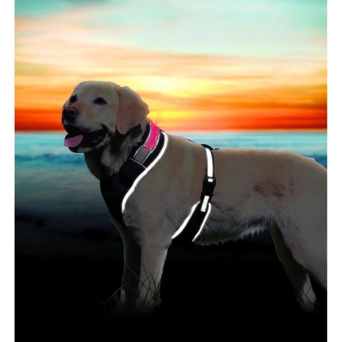 TRIXIE Flash Harnais soft L: 60–80 cm noir pour chien