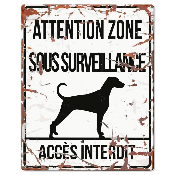 D&D Plaque Attention Chien Dalmatien - Blanc