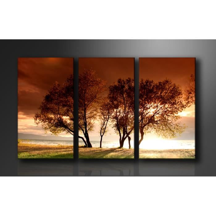 Tableau triptyque imprimé 160x90 cm - ARBRE - Achat ...