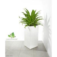 JARDINIÈRE - POT FLEUR Weles GMBH 4000-1040-208 - USTENSILES DE DECORATIO JARDINIÈRE - POT FLEUR Weles GMBH 4000-1040-208 - USTENSILES DE DECORATIO