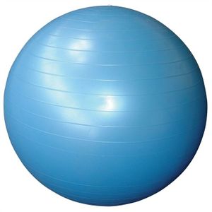 BODY ONE Ballon Gym 65 cm + pompe