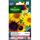 VILMORIN Tournesol nain Paquito