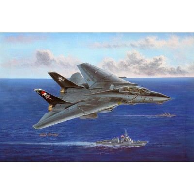 14B Tomcat   Longueur  39.7 cm. Envergure  23.3 cm min. / 40.7 cm