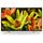 SONY KD60XF8305BAEP TV LED UHD 4K - 60" (152 cm) -