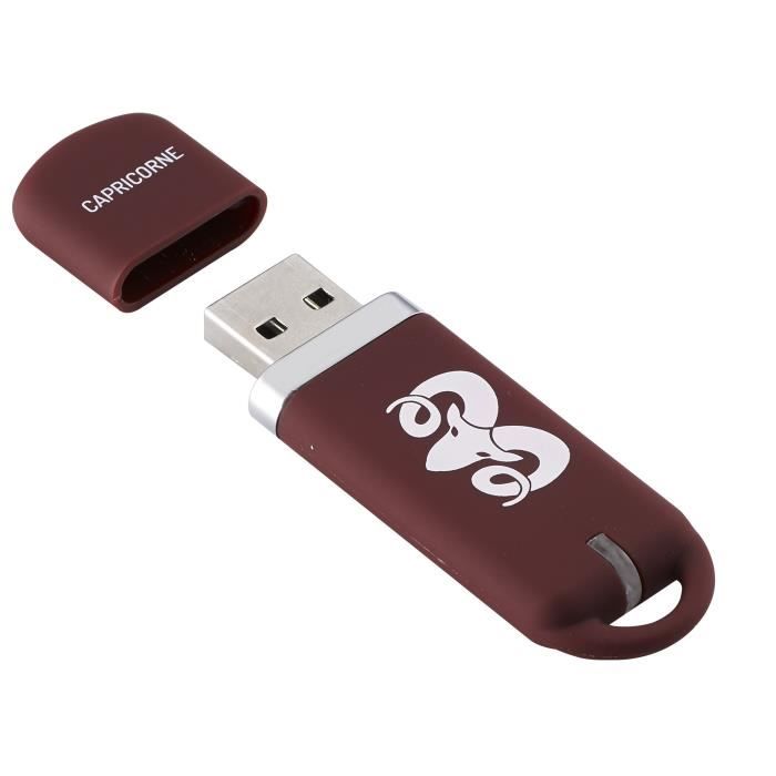 KEYOUEST Clé USB Capricorne - 16 Go