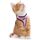 Harnais pour chat adulte