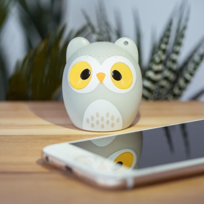 SWIPE Haut-Parleur Chouette