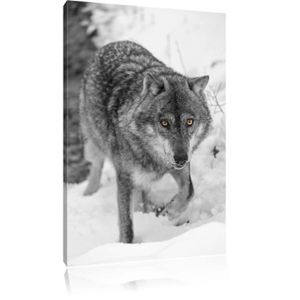 Tableau loup noir 5 toile imprime traquer loup noir blanc completem
