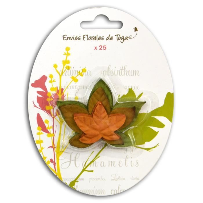 TOGA Pack de 25 Feuilles Platane