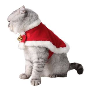image de chat noel