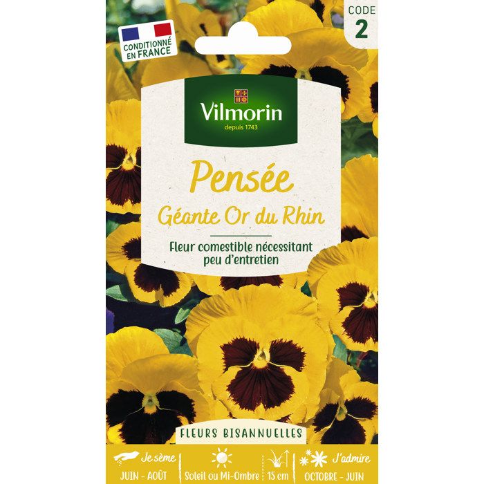 VILMORIN Pensee geante Or du Rhin jaune macule