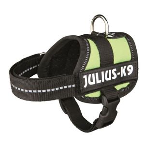 Harnais Power Julius-K9 - Baby 1 - XS : 30-40 cm-18 mm - Vert pastel - Pour chien