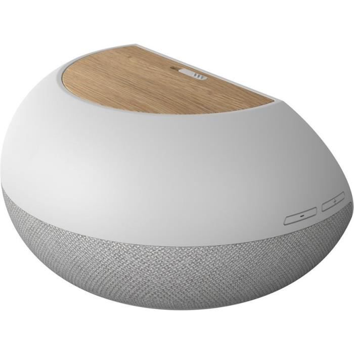  Assistant Google avec écran Hello 5 - 5"2