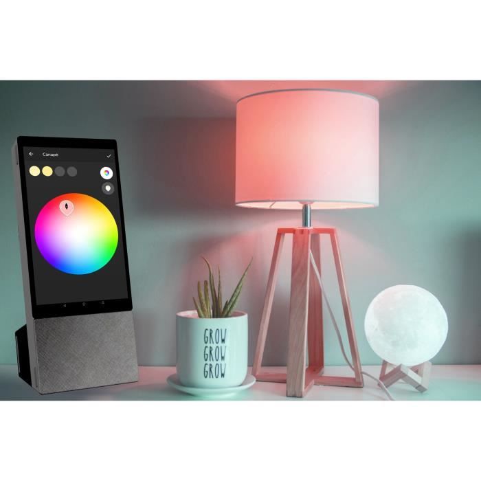  Assistant Google avec écran Hello 7 - 7"3