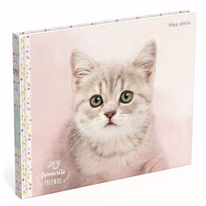 MY FAVOURITE FRIENDS Cahier Copains de classe - Décor Chat - 20,9x17,5 mm - 56 feuilles