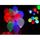 Lot de 30 Ballons LED Anniversaire Mariage Bapteme