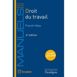 Manuel Droit Du Travail Achat Vente Pas Cher - 