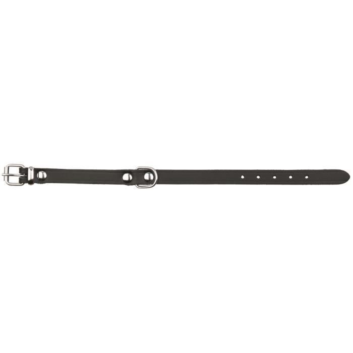 TRIXIE Basic collier - L : 45-54cm / 22m - Noir - Pour chien