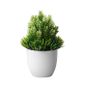 Plante Succulente Artificielle D/écoration pour Maison Vert