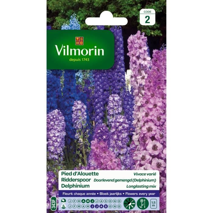 VILMORIN Pied dAlouette delphinium vivace varie