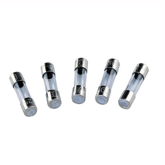 10x Fusible temporis/é en verre 800mA T 250VAC 5x20mm