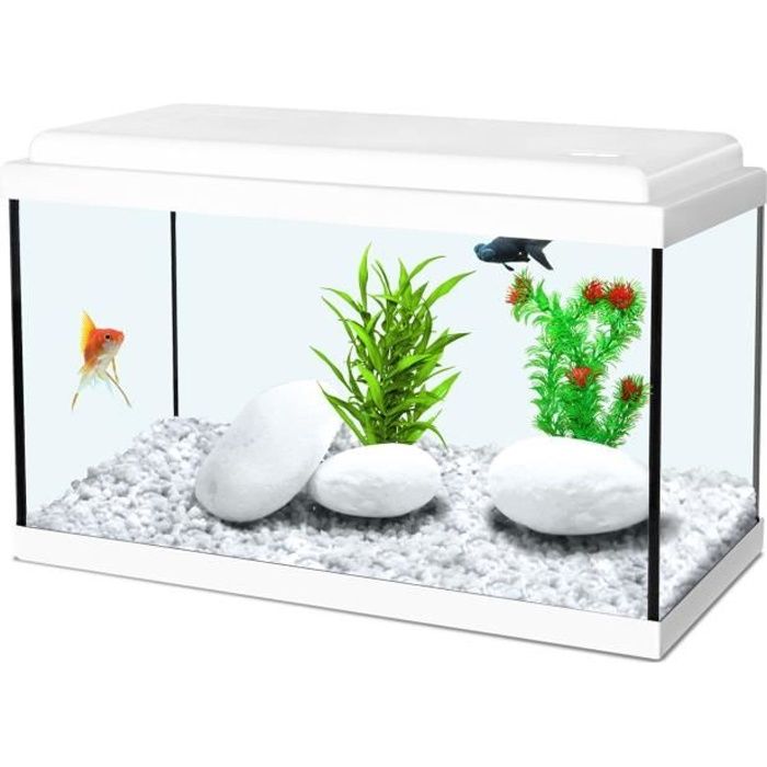  Aquarium  avec couvercle Achat Vente Aquarium  avec 