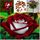 100pcs Rare Osiglia Grains Rose Rouge Avec Blanc J