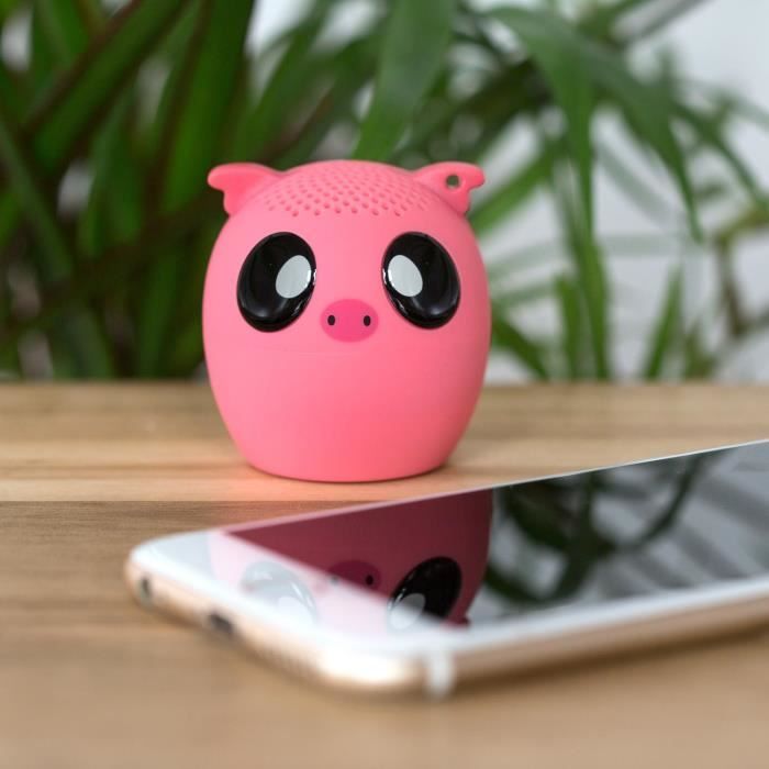 SWIPE Haut-Parleur Cochon