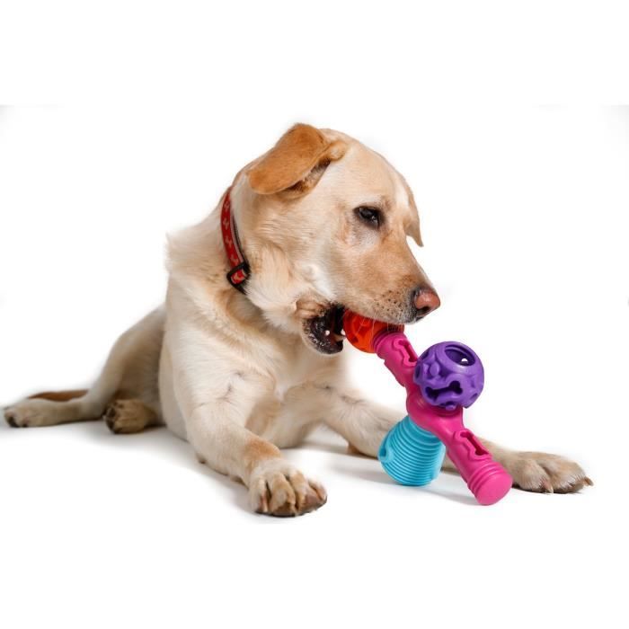 Le Dentiste Tech Bone E2XB22