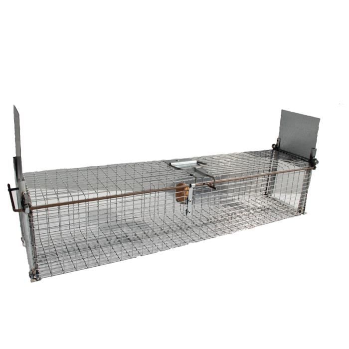 Piege Cage Fouine Le Meilleur Pi ge Fouine HQRJU piege-cage-fouine-le-meilleur-pi-ge-fouine-hqrju