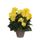 MICA DECORATIONS Plante artificielle Begonia jaune