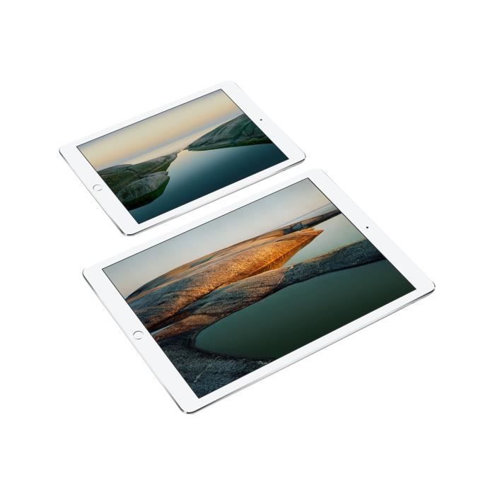 Apple 12.9-inch iPad Pro Wi-Fi Tablette 256 Go1