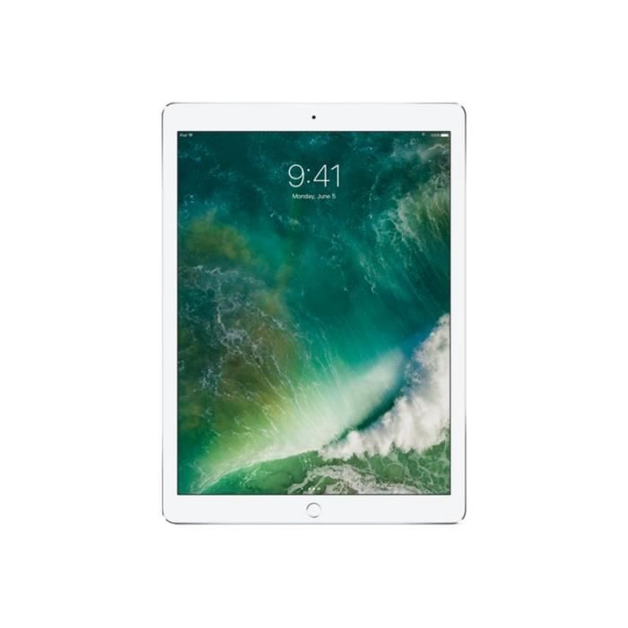 Apple 12.9-inch iPad Pro Wi-Fi Tablette 256 Go2