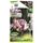 Bulbe Tulipe Double Tardive Carnaval de Nice X5